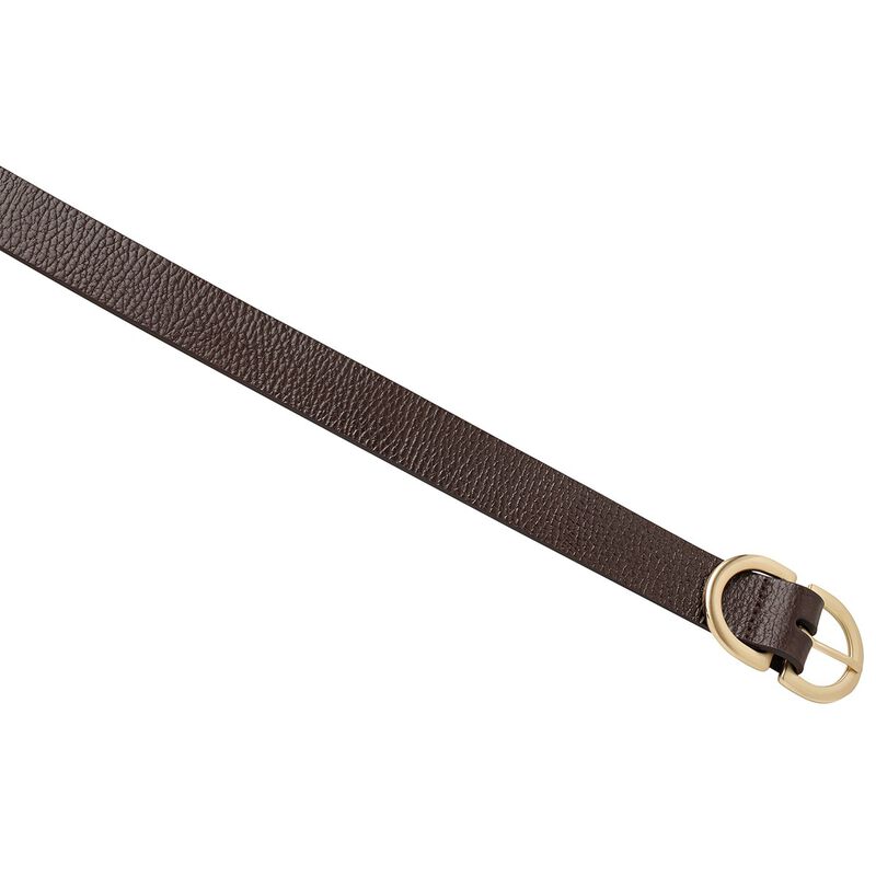 Status Anxiety In Reverse Belt image number 1